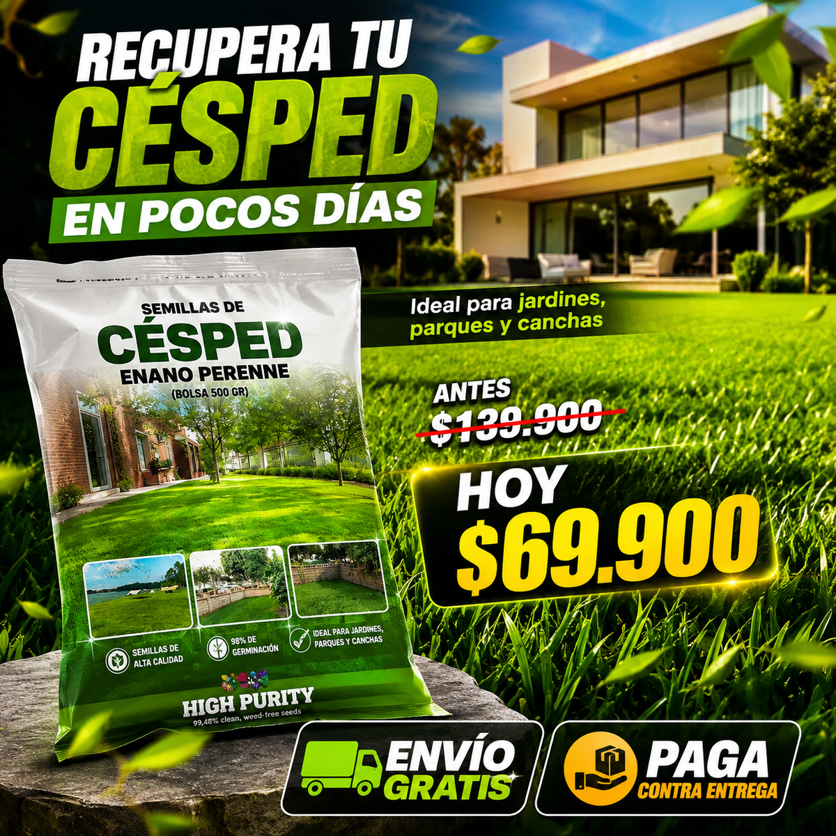 Semillas de Césped Enano Perenne