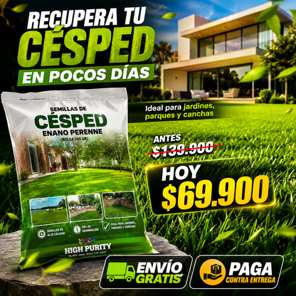 Semillas de Césped Enano Perenne